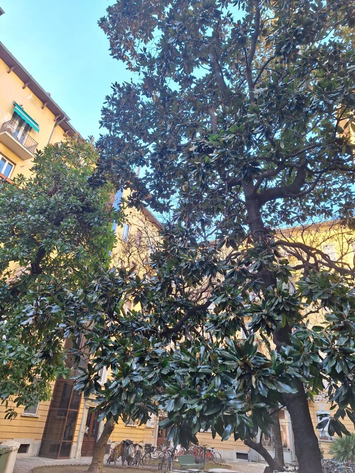 Apartament A Casa Di Ross Mediolan Zewnętrze zdjęcie